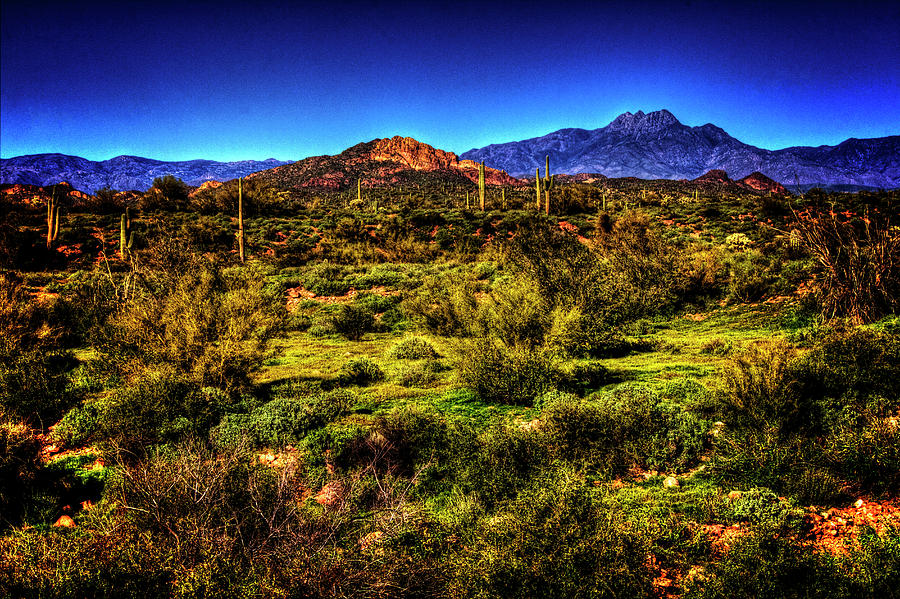 Superstition Wilderness from the Apache Trail Photograph by Roger Passman