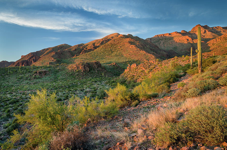 Superstitions at Dusk Photograph by Greg Nyquist