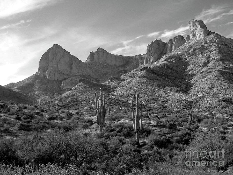 Superstitions Photograph by Nicole Fleckenstein - Fine Art America