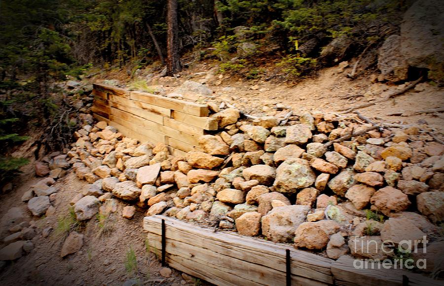 Pathway Photograph - Support by Beauty For God Pathway Photograph - Support by Beauty For God