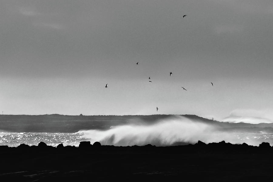 Surf Birds Photograph by Geoff Smith