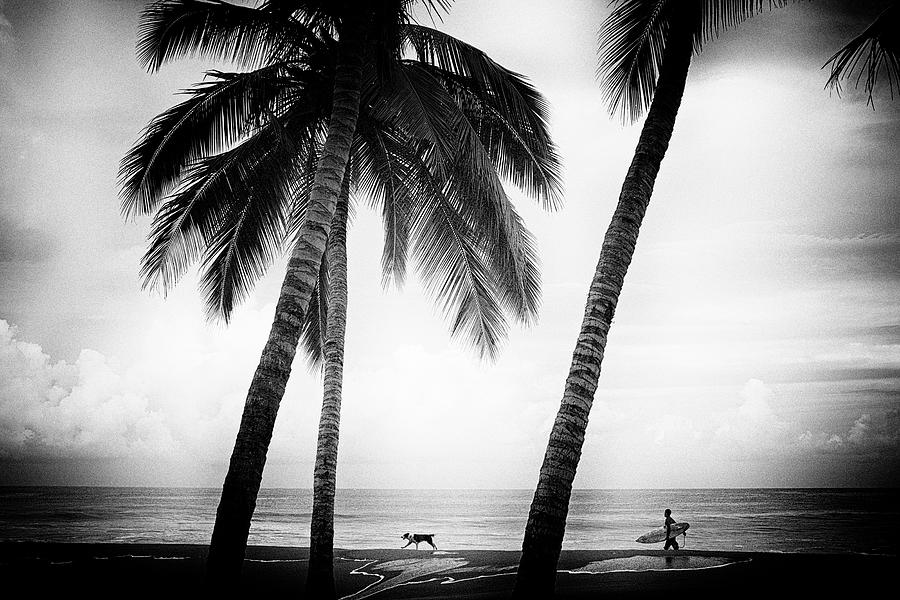 Surf Mates Photograph by Nik West