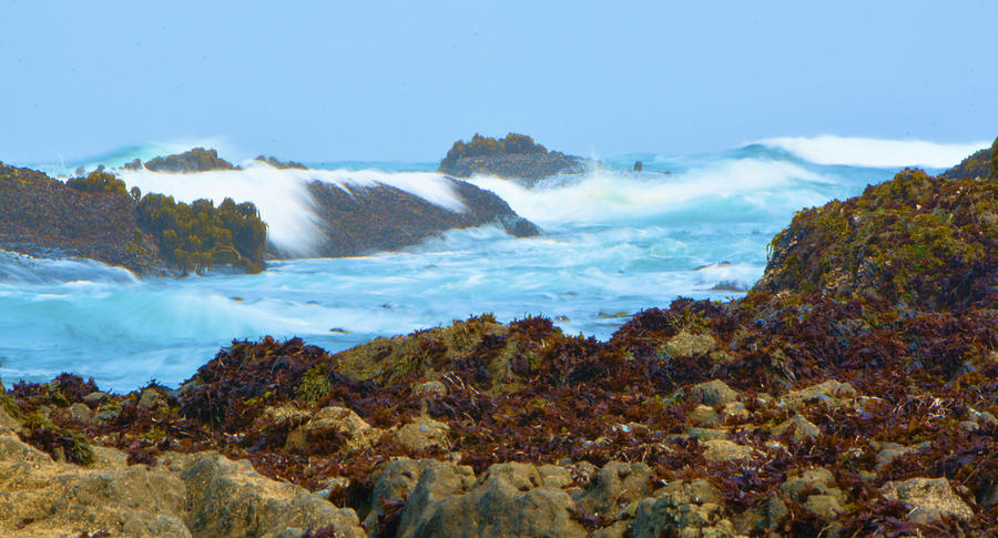 Surf n Rocks Photograph by Josephine Buschman