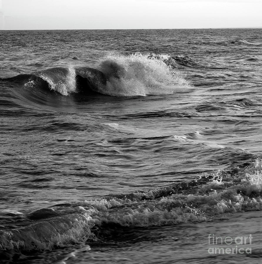 Surf No. 1 8x8 Bnw Photograph by Skip Willits