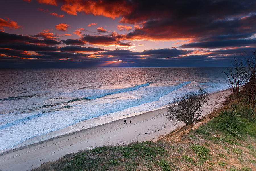 Dog Photograph - Surf On Nauset Light Beach by Darius Aniunas