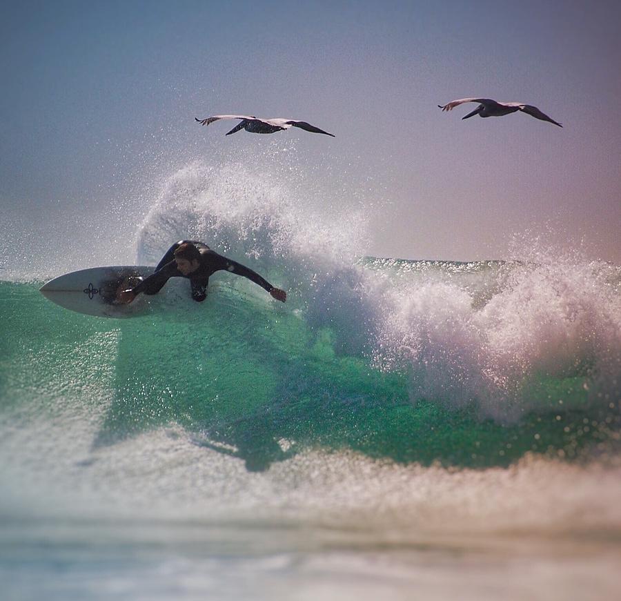 Pelican Photograph - Surf or Soar? by Hal Bowles