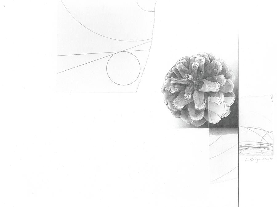 Surface No. 2 by Lauren Bigelow Surface No. 2 by Lauren Bigelow