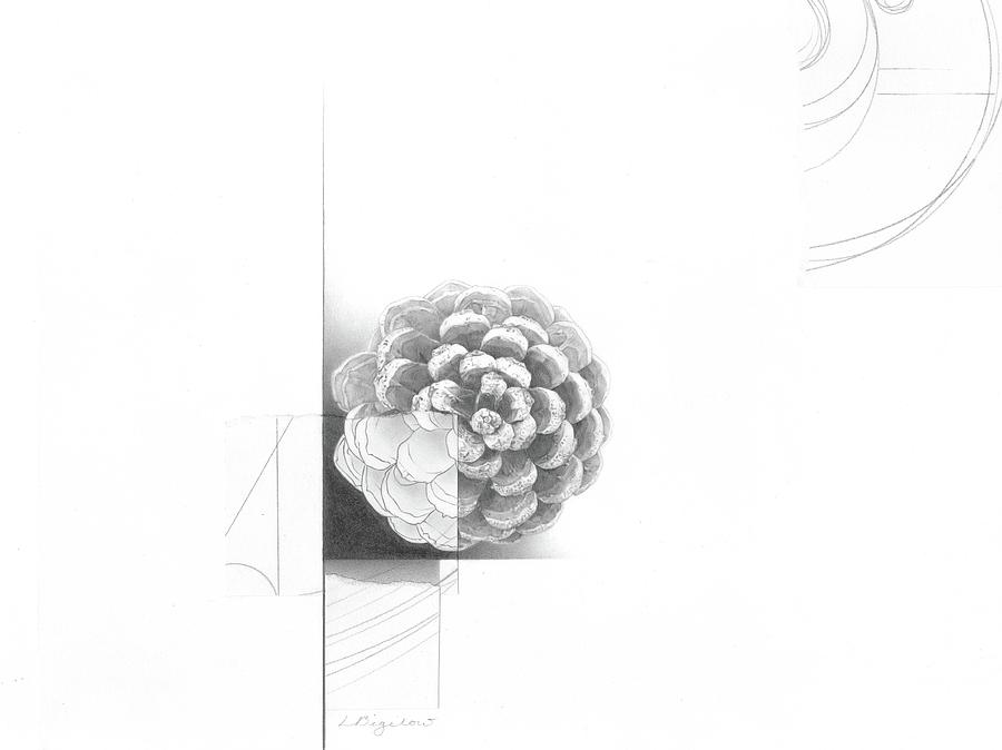 Surface No. 1 by Lauren Bigelow Surface No. 1 by Lauren Bigelow