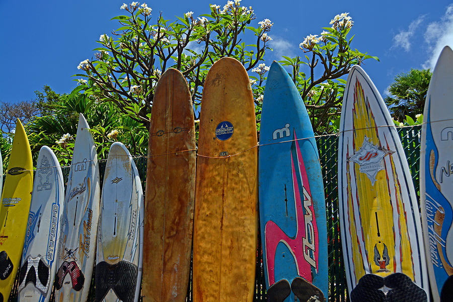 Surfboard Fence Photograph by Ben Prepelka