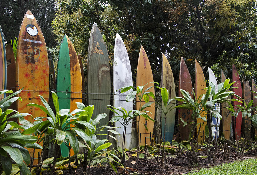 Surfboard Fence Photograph by Doug Davidson