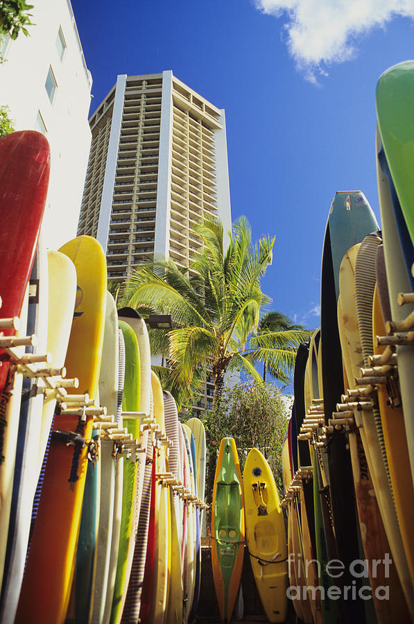 Rent Movie Photograph - Surfboard Stack by Peter French - Printscapes