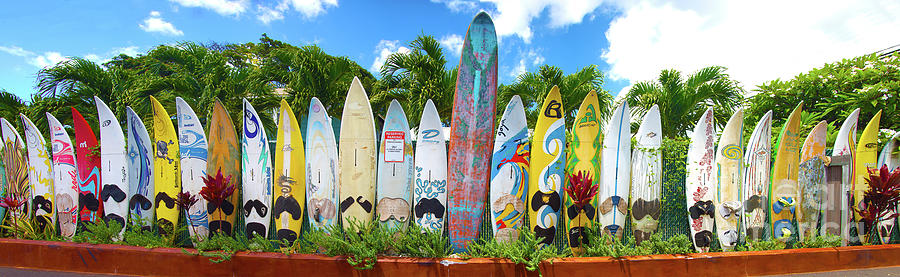 Surfboards in Hawaii Photograph by ELITE IMAGE photography By Chad McDermott