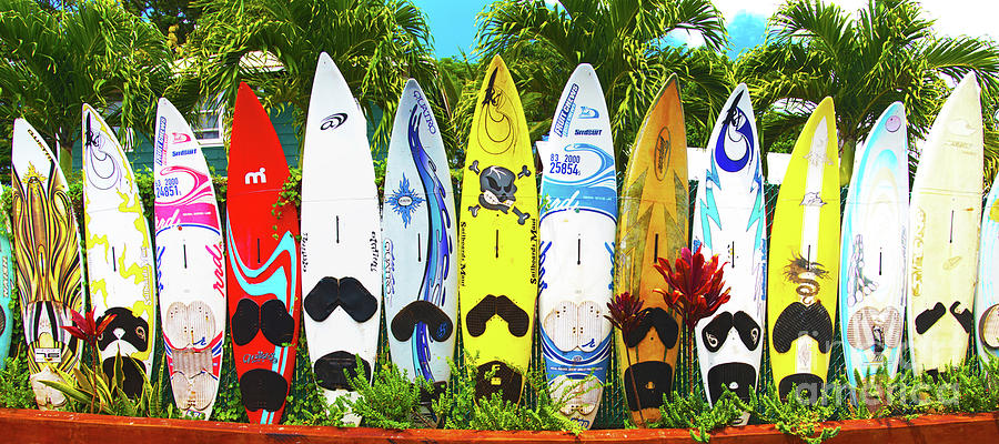 Surfboards in Paia Maui Hawaii Photograph by ELITE IMAGE photography By Chad McDermott