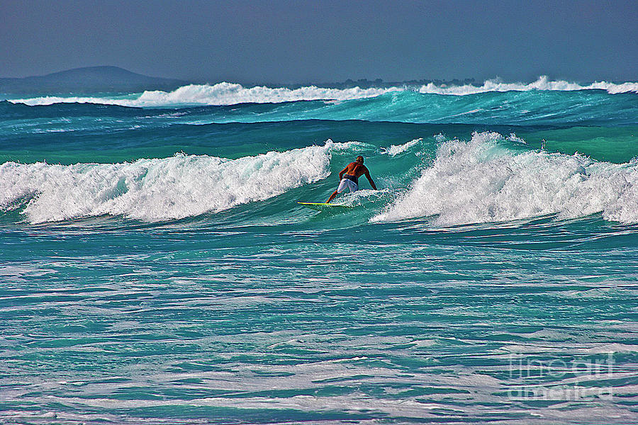 Surfing A-Bay Photograph by Bette Phelan