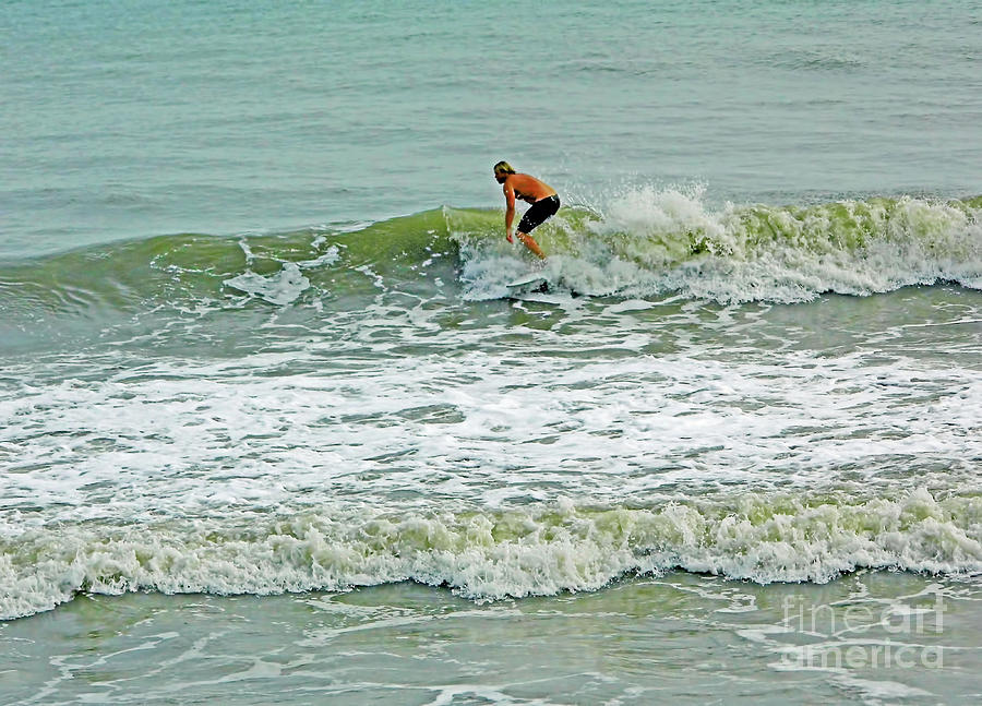 Surfing in Florida Photograph by D Hackett