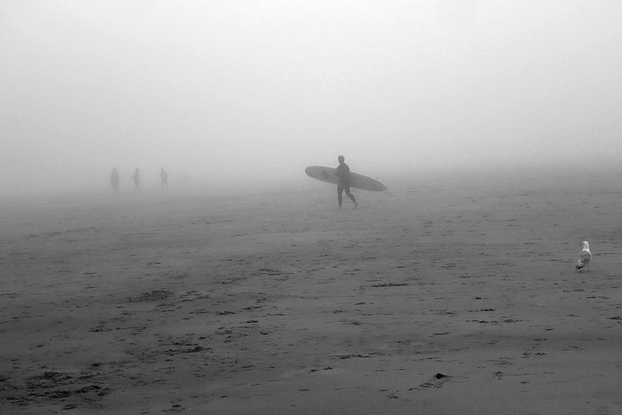 Surfing into the fog Good Harbor Beach Gloucester MA Black and White Photograph by Toby McGuire