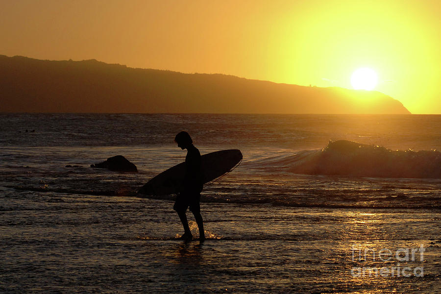 Sunset Photograph - Surfing Paradise by Bob Christopher