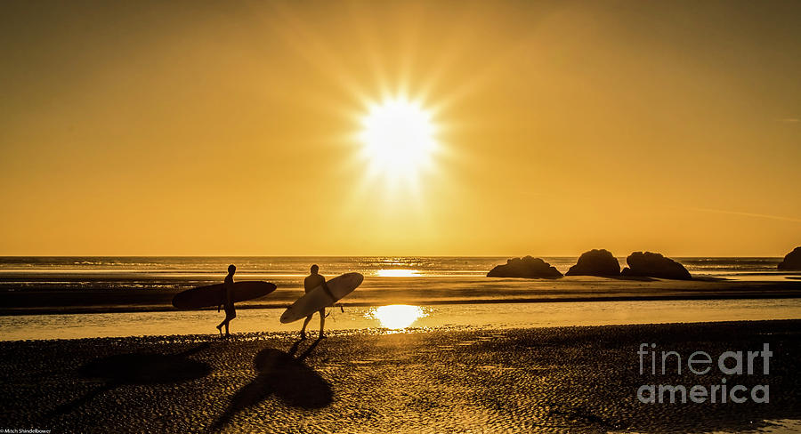 Surfing Safari Photograph by Mitch Shindelbower