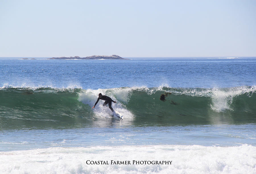 Nature Photograph - Surfs Up by Becca Wilcox