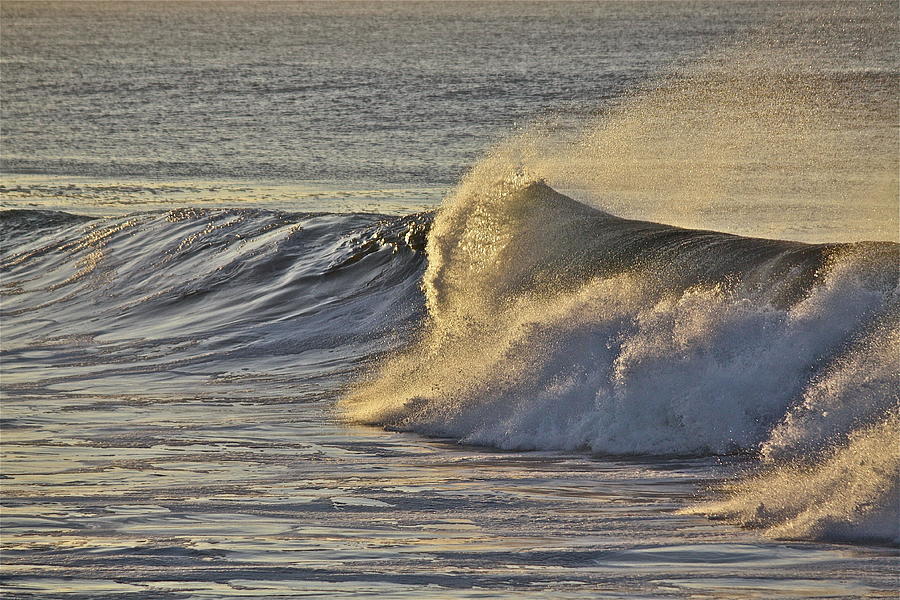 Surfs Up Photograph by Diana Hatcher