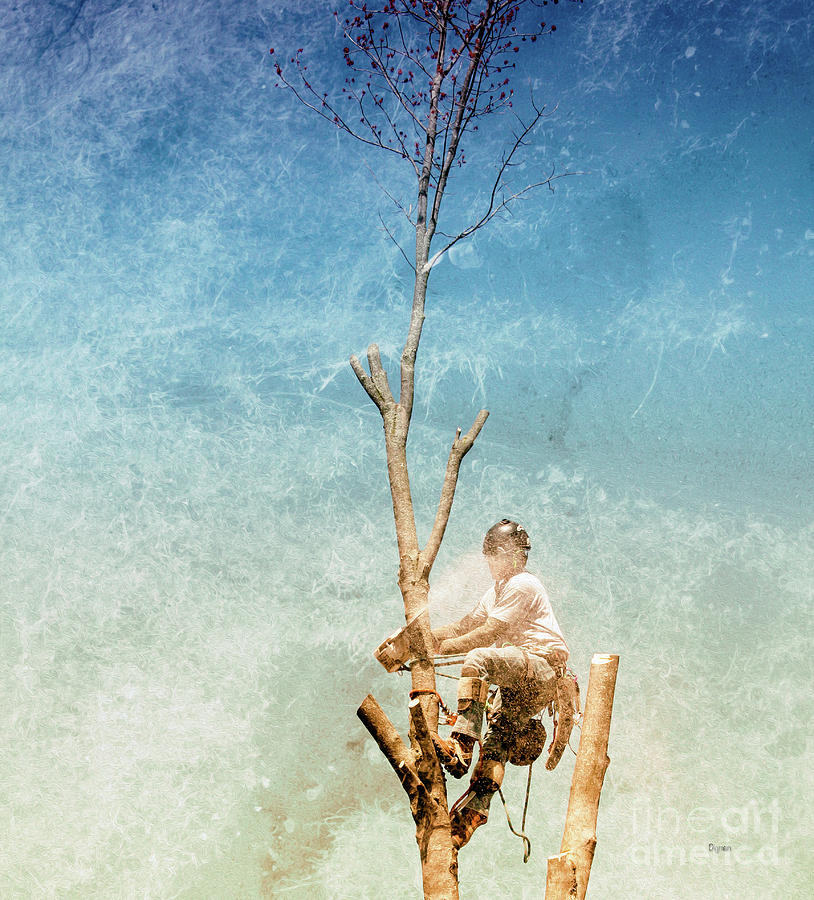 Tree Photograph - Surgeon of the Sky by Steven Digman Tree Photograph - Surgeon of the Sky by Steven Digman