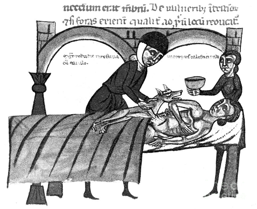 Surgery, Dead Dog Warming Wound, 1300 Photograph by Wellcome Images