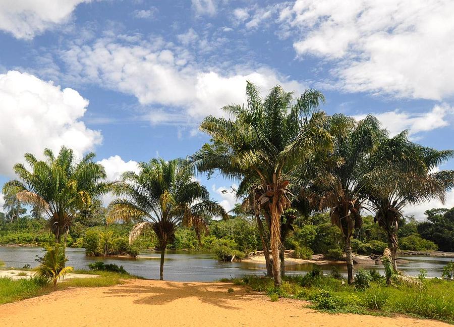 Suriname Beach Photograph by Danielle Del Prado - Fine Art America