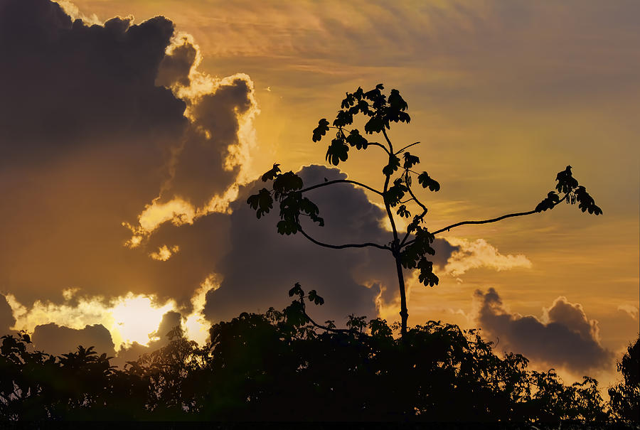 Suriname Sunset Photograph by Nadia Sanowar
