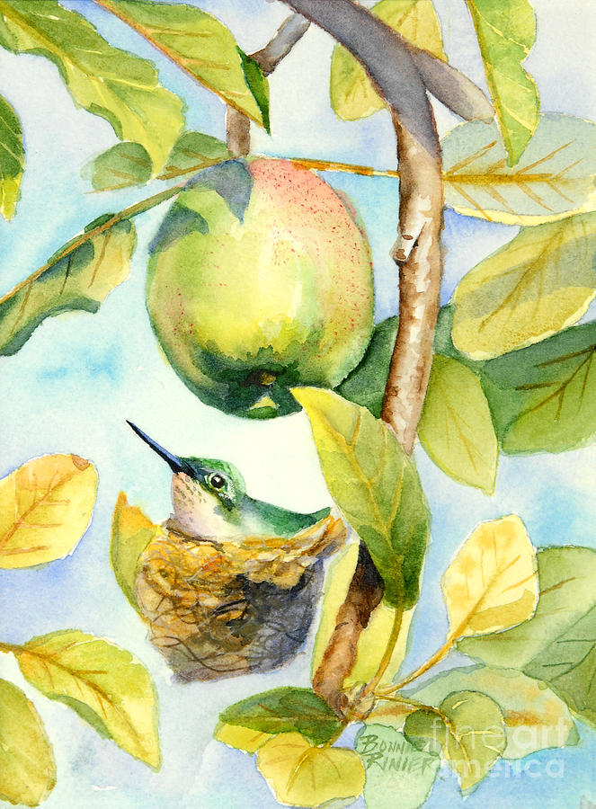Hummingbird Painting - Surprise in the Apple Tree by Bonnie Rinier