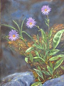 Asters Painting - Surprise In The Rocks by Clara Bierman Asters Painting - Surprise In The Rocks by Clara Bierman