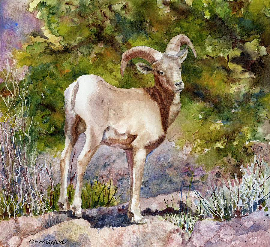 Surprised on the Trail Painting by Anne Gifford
