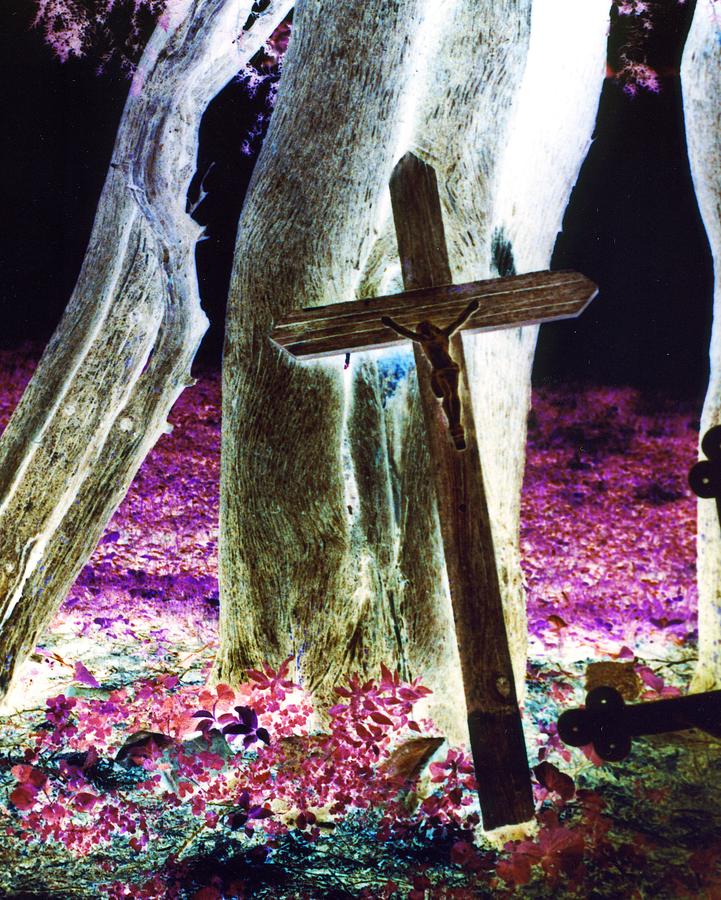 Surreal Crucifixion Photograph By Karin Kohlmeier Fine Art America