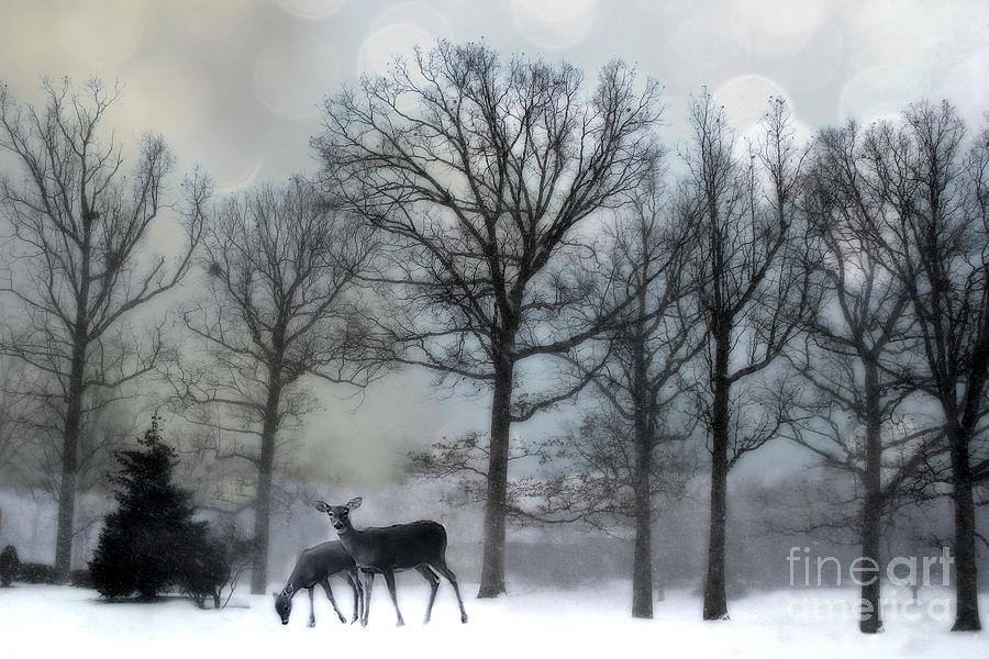 Surreal Dreamy Deer Herd Michigan Winter Snow Photograph by Kathy Fornal