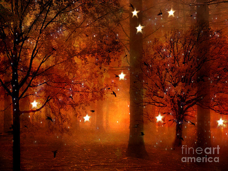 Fantasy Photograph - Surreal Nature Trees Woodland Fairy Lights Fantasy Autumn Woodlands Starry Night by Kathy Fornal