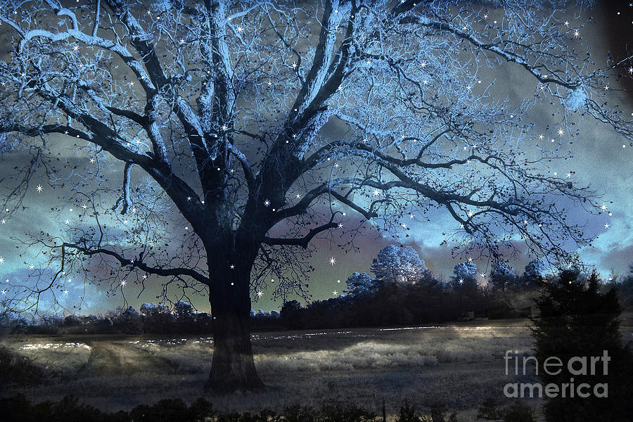 Surreal Fantasy Fairytale Blue Starry Trees Landscape - Fantasy Nature Trees Starlit Night Wall Art Photograph by Kathy Fornal