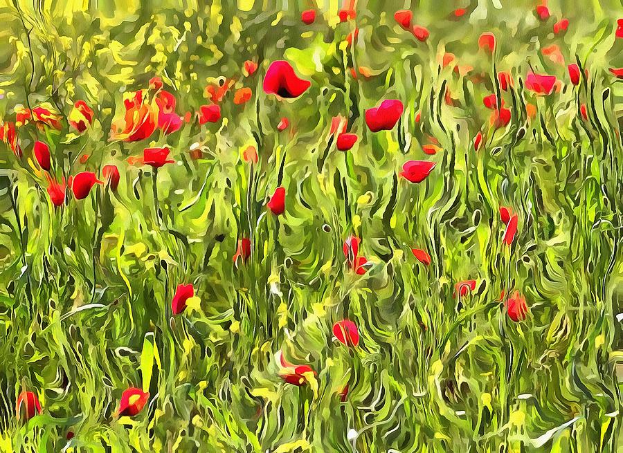 Surreal Hypnotic Poppies Painting