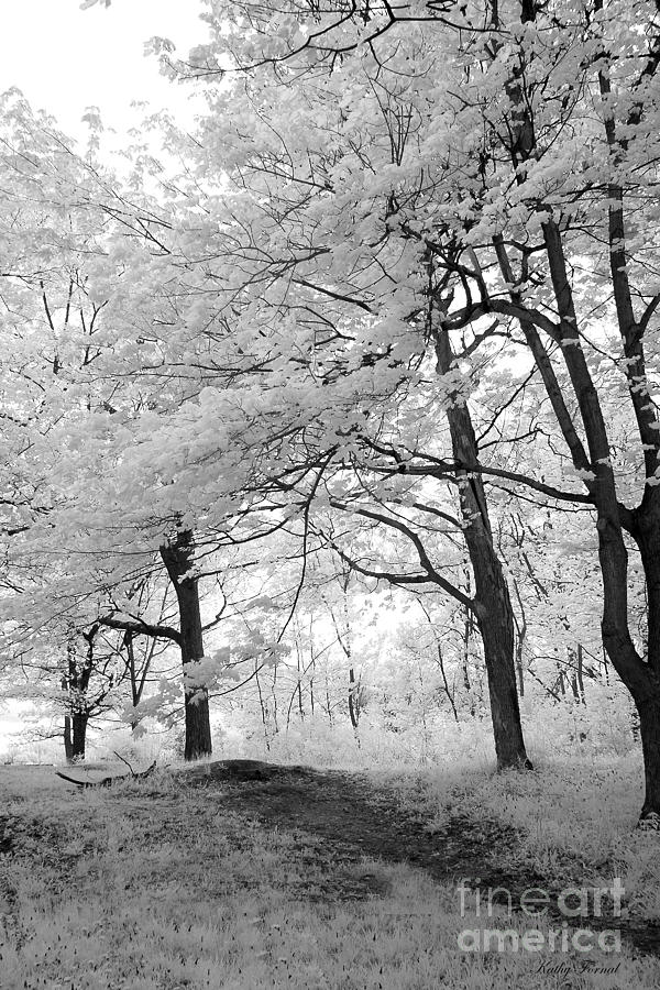 Surreal Infrared Black White Nature Trees - Haunting Black White Trees Nature Infrared Photograph by Kathy Fornal