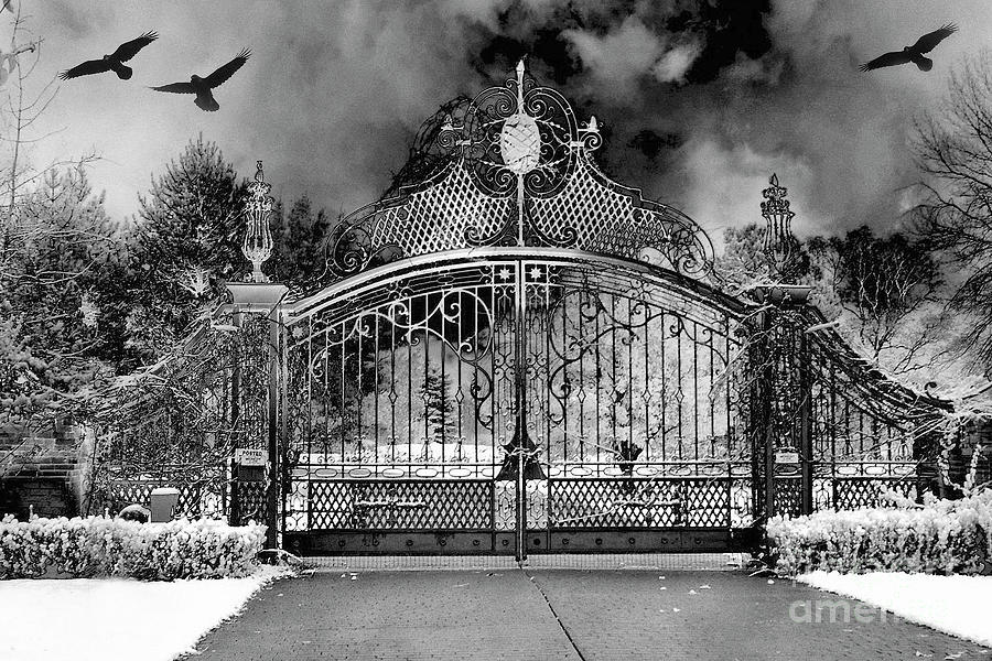 Surreal Infrared Gate Gothic Ravens - Black White Gothic Gate With Ravens Photograph by Kathy Fornal