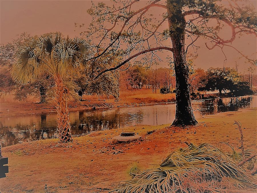 Tree Digital Art - Surreal Langan Park - Mobile Alabama by Marian Bell