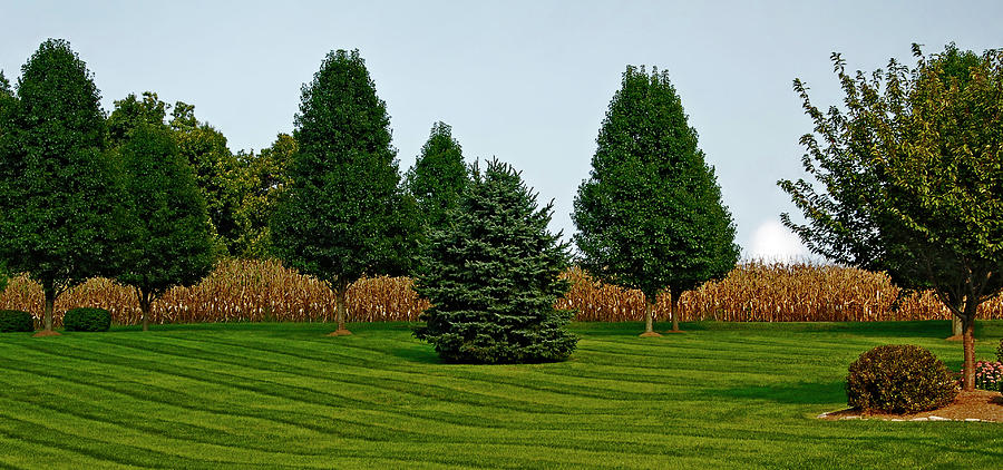 Landscape Photograph - Surreal Lawnscape by Murray Bloom