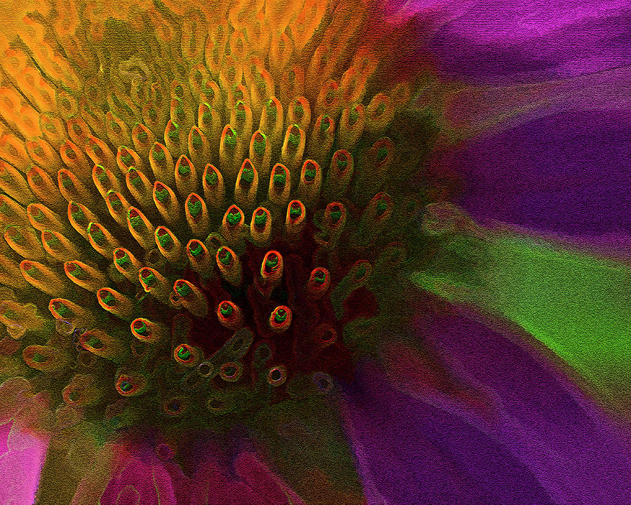 Surreal Neon Textured Coneflower Photograph by Kathy Clark
