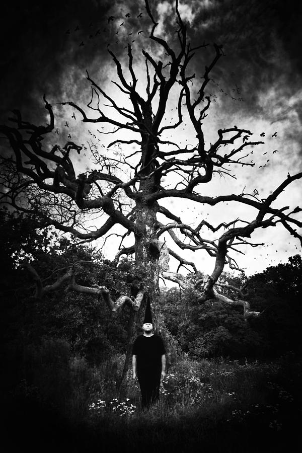 Tree Photograph - Surreal state by Art of Invi