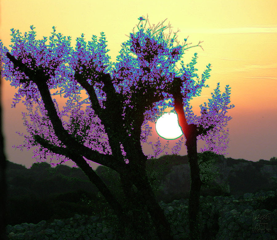 Surreal Sunset Photograph by Dee Flouton