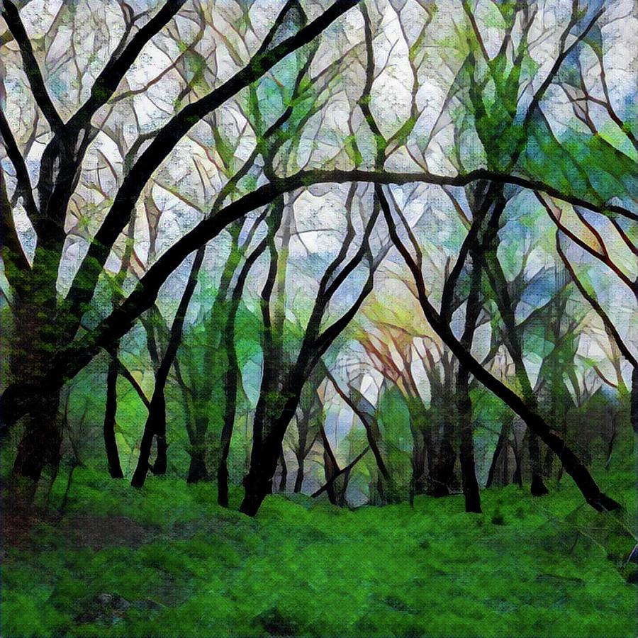 Surreal Trees Digital Art by Lisa Lemmons-Powers