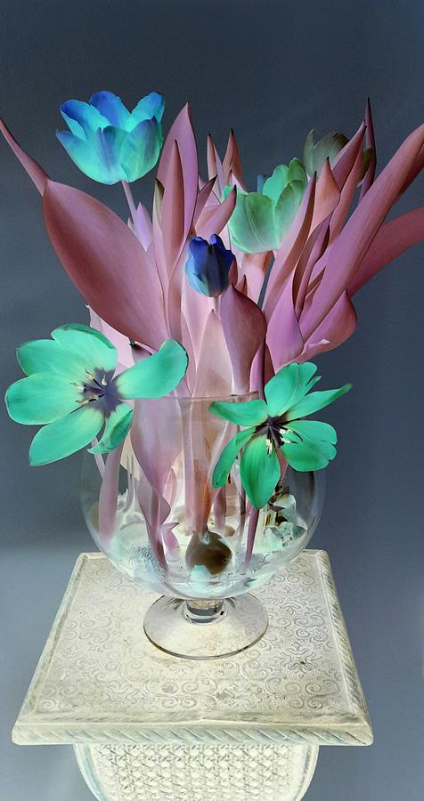 Surreal tulips Photograph by Vijay Sharon Govender