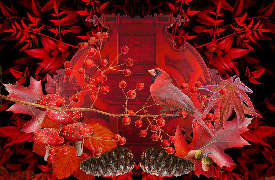 Surrealism of Nature Autumn Colors Photograph by Suzanne Powers