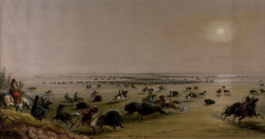 Horse Painting - Surround of Buffalo by Indians by Alfred Jacob