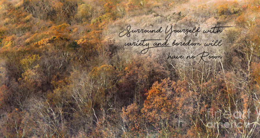 Surround Yourself With Variety Photograph by Metaphor Photo