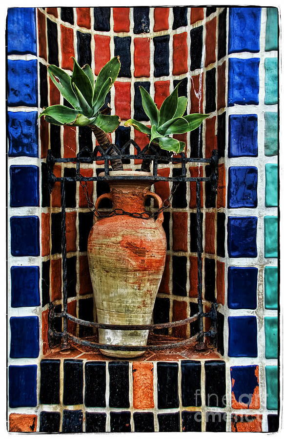 Surrounded by Tile Photograph by Norma Warden