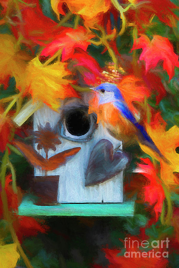 Surrounded In Fall Color Digital Art by Darren Fisher